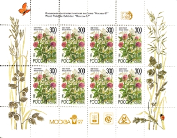 RUS 0439 KLBG ** - 1995